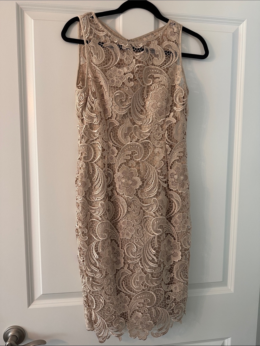 Adrianna Papell Beige Lace Midi Dress